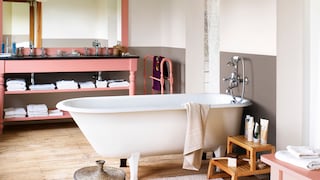 Use coral standpoint to brighten warm light colours