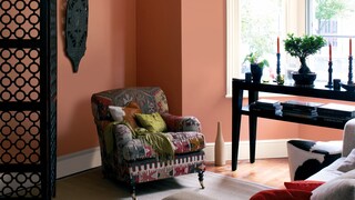 Get a global feel with warm, plain colours