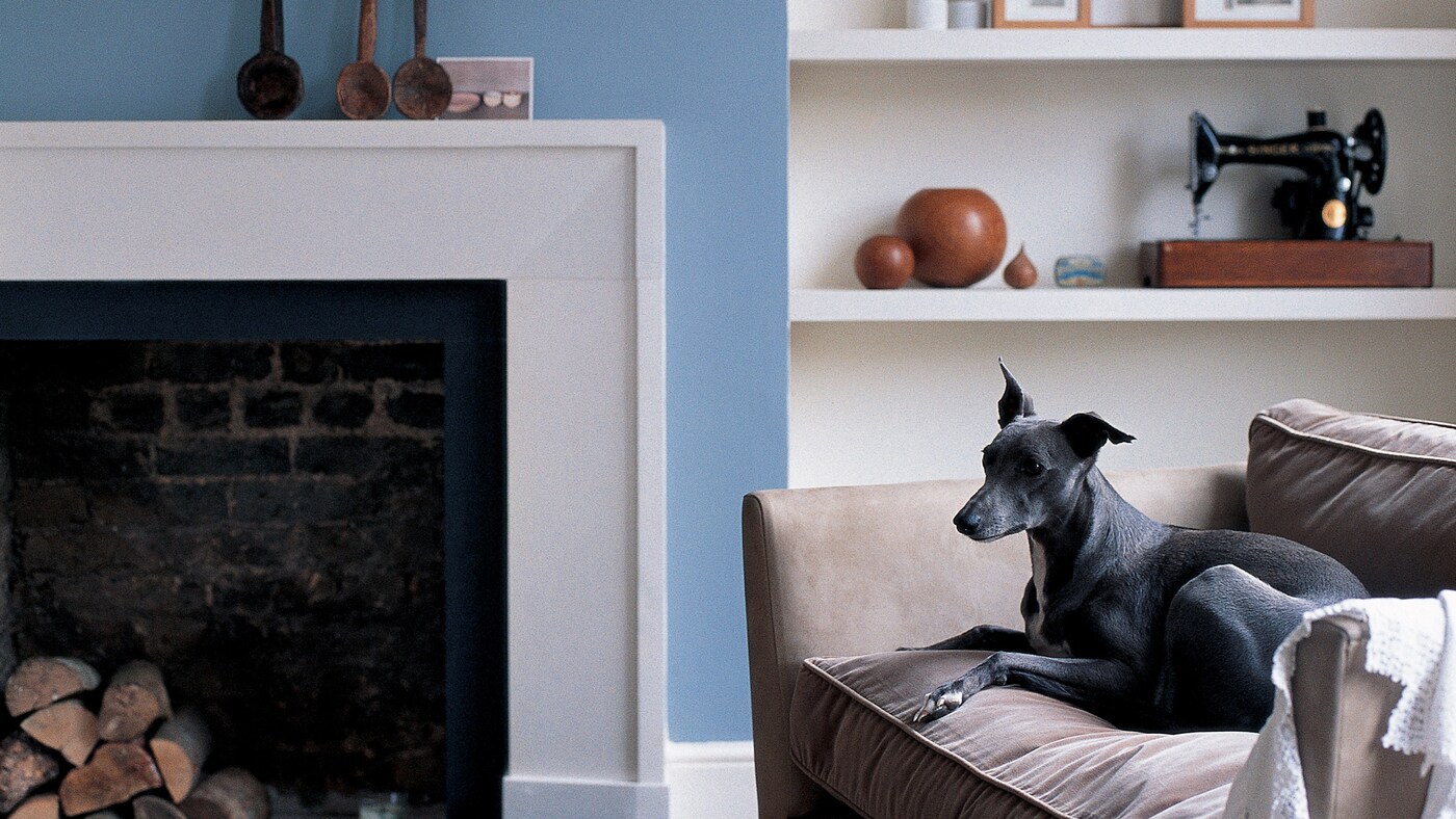 Paint the chimney breast beautiful cool blue for a stylish look.
