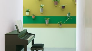 Use plants to add interest to a corridor