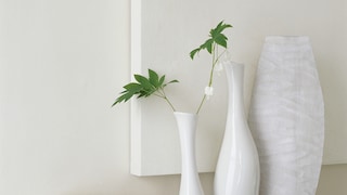 Use a single colour of fresh off-white