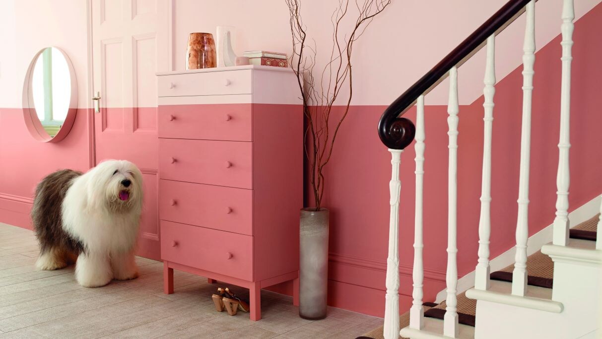 Έντονα Χρώματα στους Τοίχους