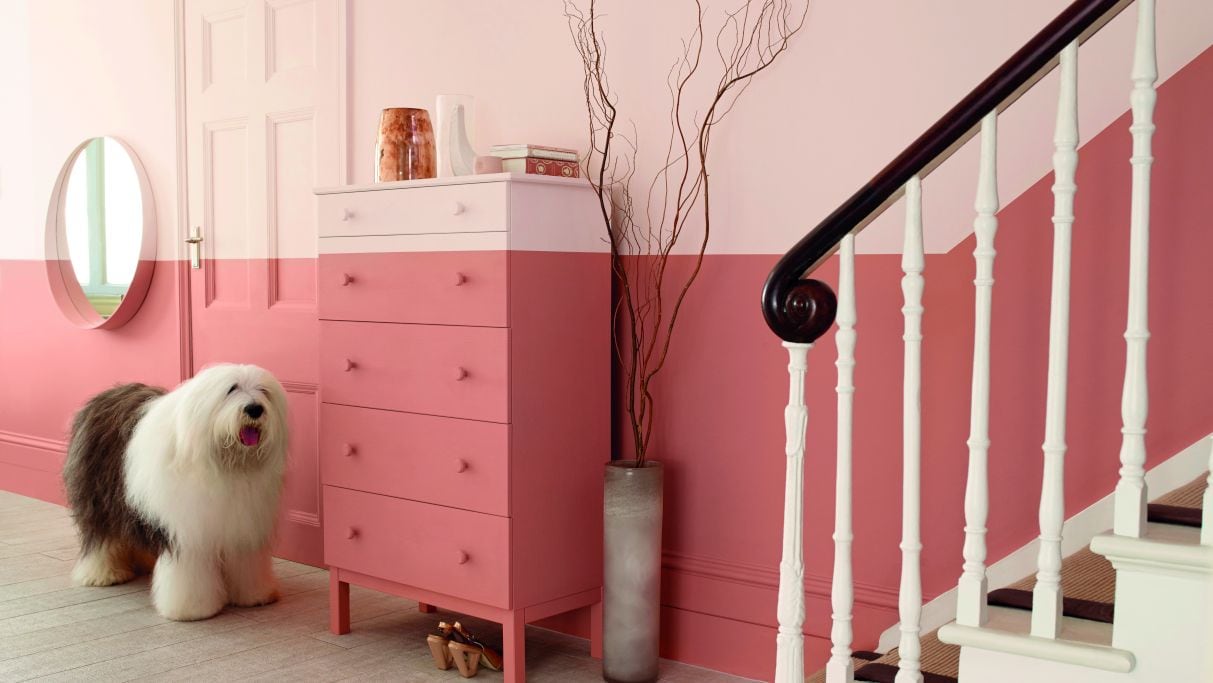 Ανανέωση Διακόσμησης Σπιτιού με Χρώμα