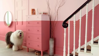 Ανανεωθείτε με Εύκολες Ιδέες Διακόσμησης!