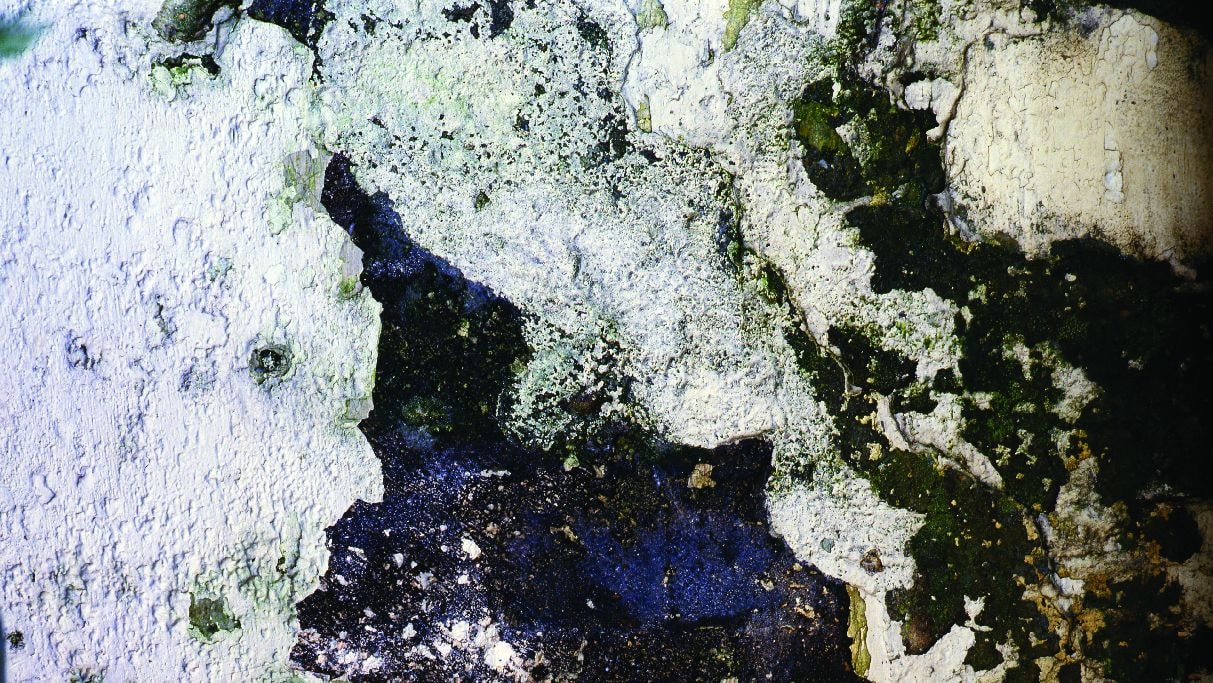 Σκασίματα στα Χρώματα των Τοίχων