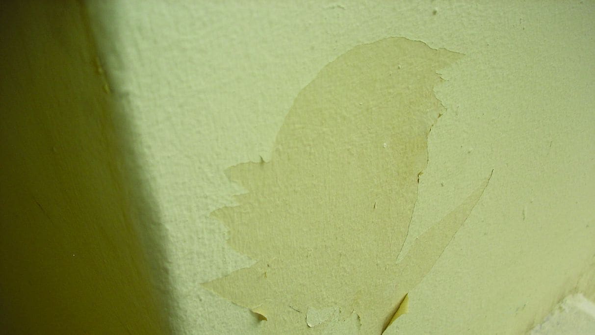 Αντιμετωπίστε τα Ξεφλουδίσματα σε Βαμμένους Τοίχους