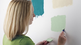 Paint color ideas
