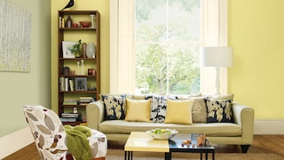 Revive the senses with green