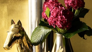 Do you dare to go for gold?