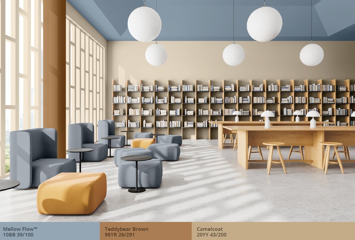 Library with beige walls and blue ceiling