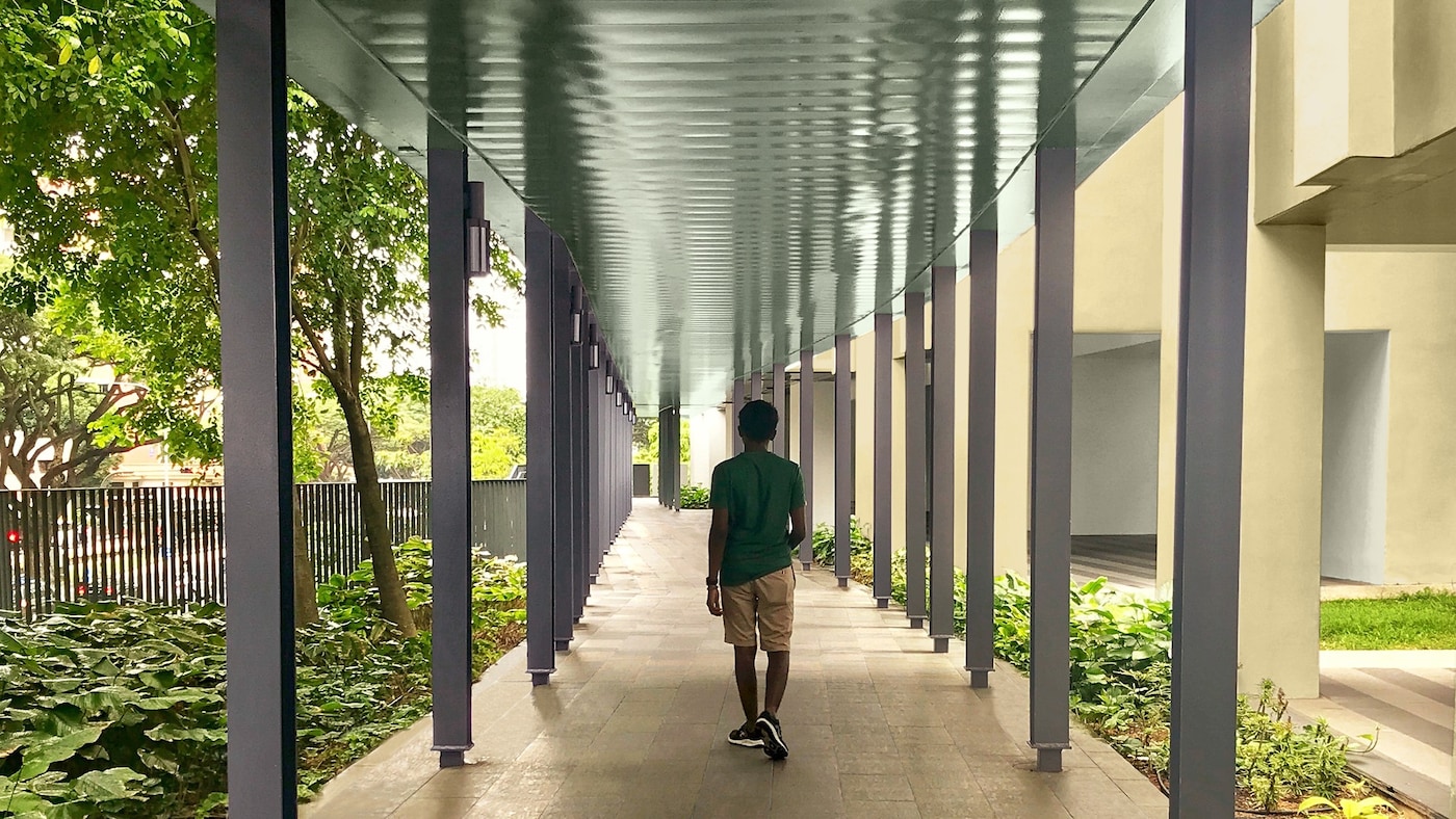 A tranquil outdoor space