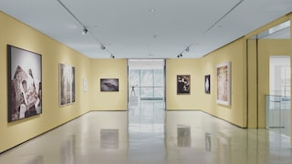 Boosting hospitality spaces with Dulux Professional Colour of the Year