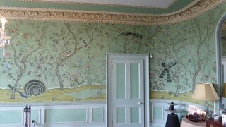 6 Tips for Perfect Wallpaper Every Time