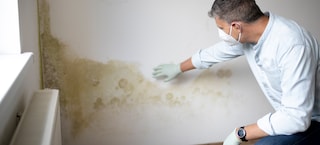 Anti-Mould Paints and Removers for Specifiers