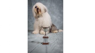 Gain the recognition you deserve