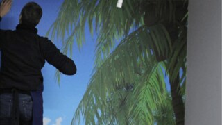 Getting to grips with digital murals