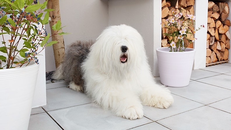 Donate to good causes