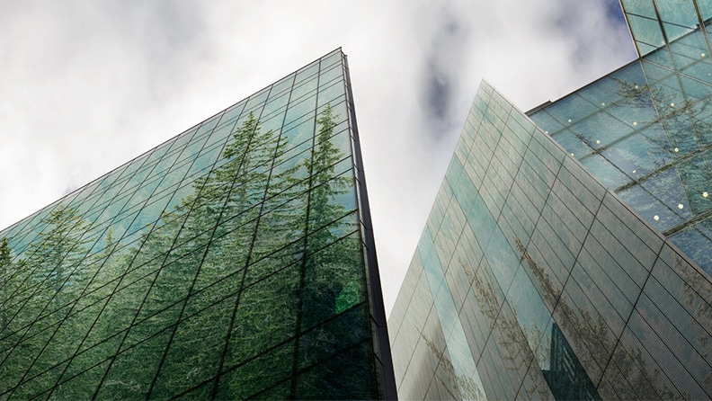 Explore our policies