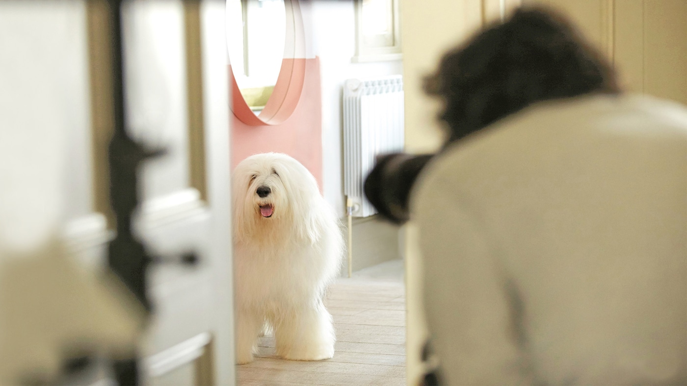 Education What’s in a tin of Dulux? DuluxTrade