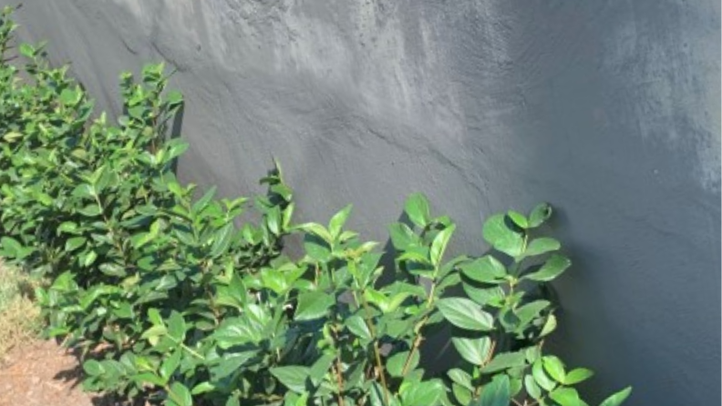 Technical-Corner-Grey-Wall-Problem-Alkaline-Burn