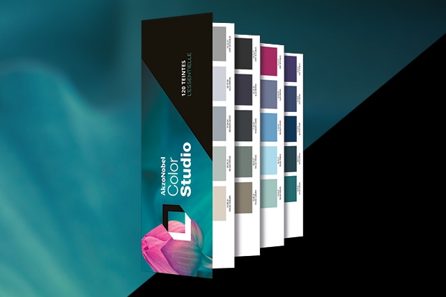 Carnet d'échantillons de couleurs AkzoNobel Color Studio ouvert montrant diverses teintes organisées en pages avec logo de la fleur rose stylisée.