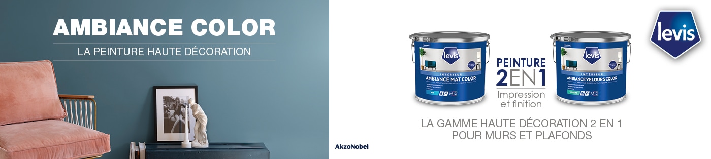 AkzoNobel ambiance color
