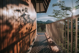 Revive and protect weathered timber