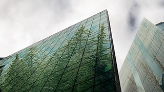 Moderne glazen wolkenkrabber met in de ramen reflectie van naaldbos