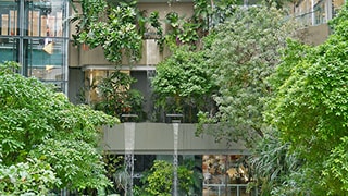 Flatgebouw volledig begroeit met bomen en planten