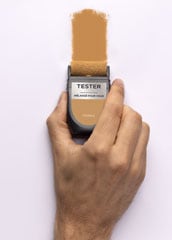 Testeurs Sikkens AkzoNobel Color Studio