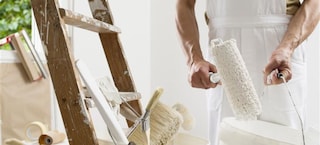 ¿Qué requisitos deben cumplir las pinturas plásticas?