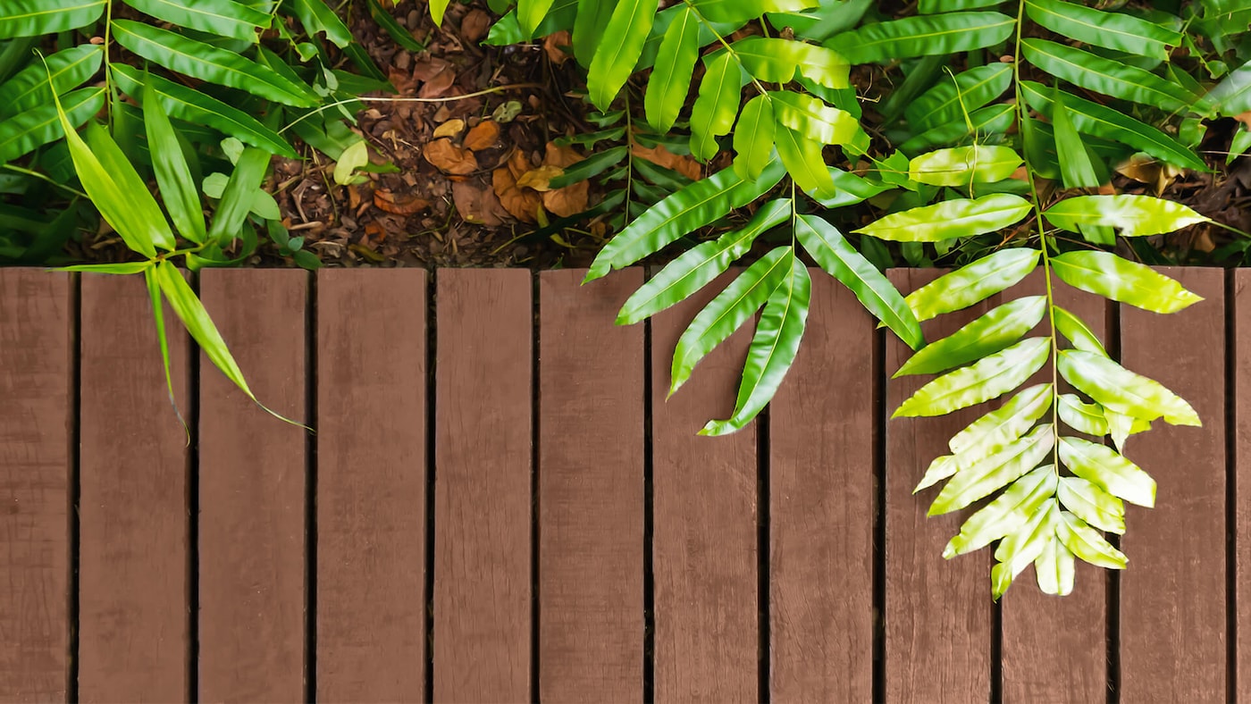 Hakkame pihta: kaitse ja naudi oma aiaterrassi sel suvel