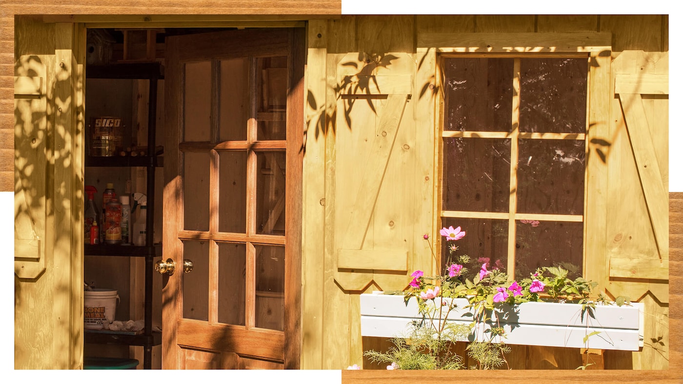 Värvitoon Vanilliõis 