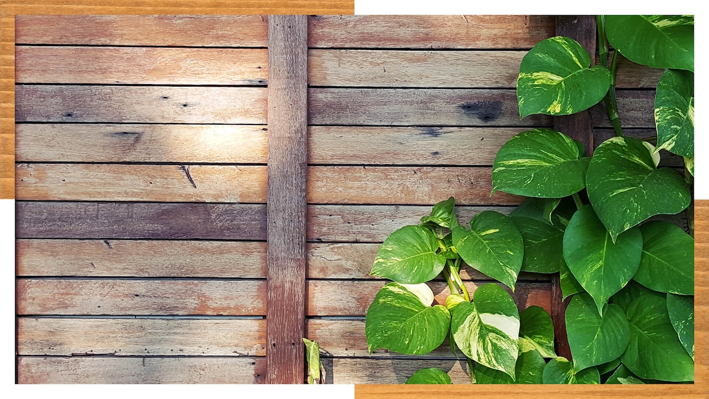 Kevade saabudes igatseb enamus meist aias toimetada