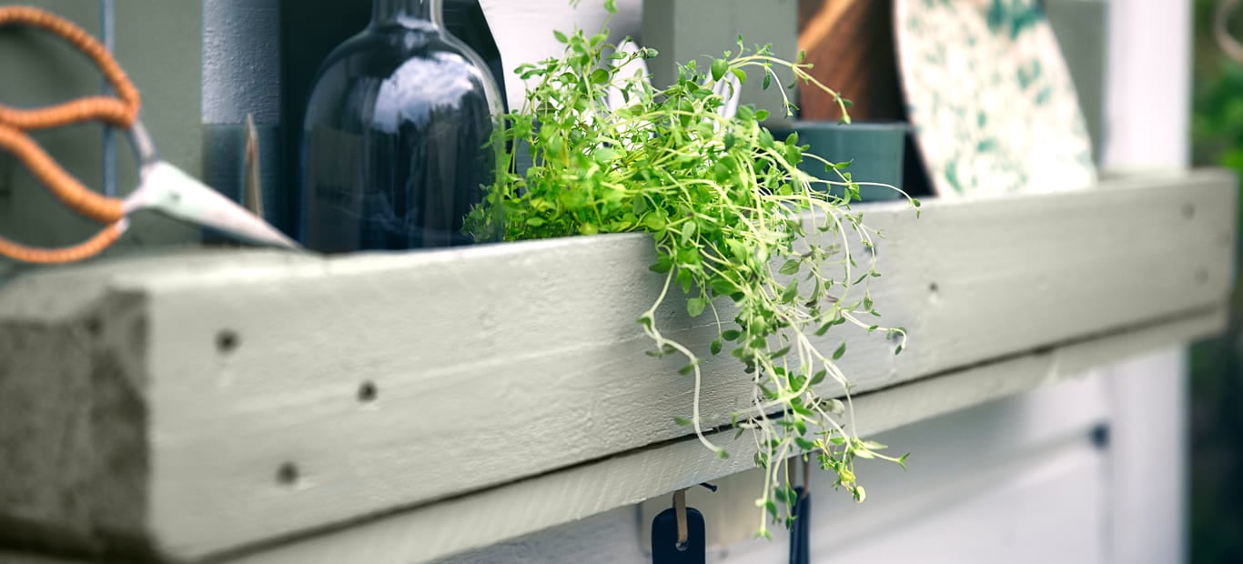 Pinotex-Creative-Garden_hylde