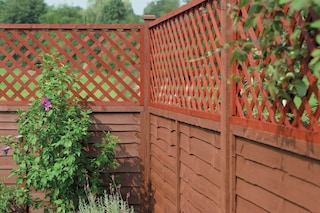 PADOMI ŽOGA KRĀSOŠANĀ