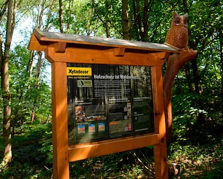 FSC-ZERTIFIZIERTER SCHULUNGSWALD IN HEIDENROD ERWEITERT