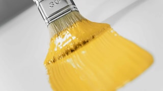 HOLZ IM GARTEN FARBENFROH STREICHEN