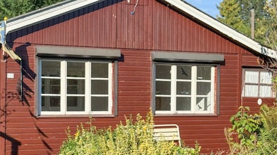 Gartenhaus umgeben von Pflanzen vor dem Streichen mit Consolan