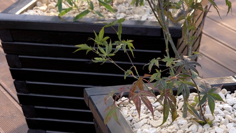 Mit schwarzer Wetterschutzfarbe von Consolan gestrichener Pflanzkübel