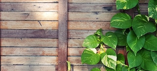 Sichtschutz streichen mit Holzschutz-Lasur 2in1