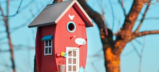 Vogelhaus bunt streichen